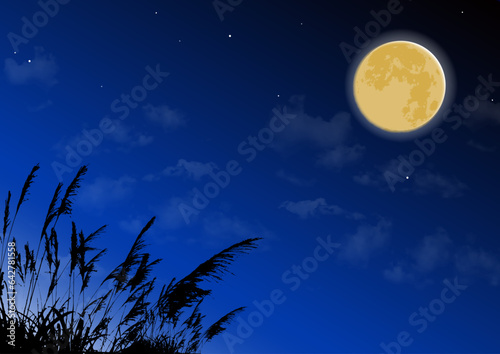 十五夜 中秋の名月