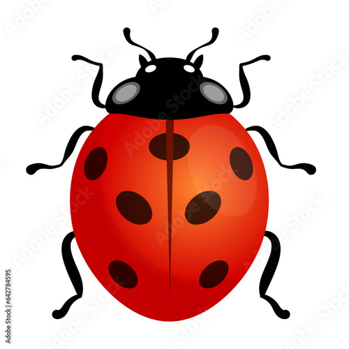 ladybug vector illustration cartoon logo icon clipart isolated on white background © Wasantha