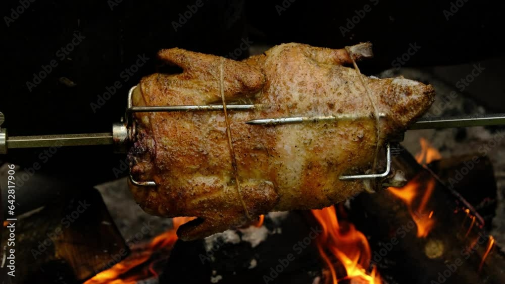 Slow motion and close up of whole duck being cooked over open flame while skewer onto automatic rotisserie. Fat and juice render as meat being browned.