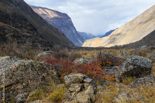 View of Altay mountains photo