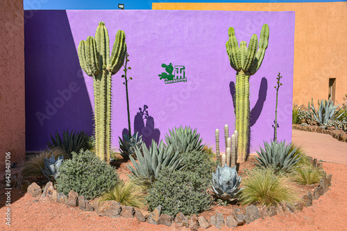 Marrakech, Morocco - Feb 25, 2023: Entrance to Cactus Thiemann, the largest cactus garden in Africa photo