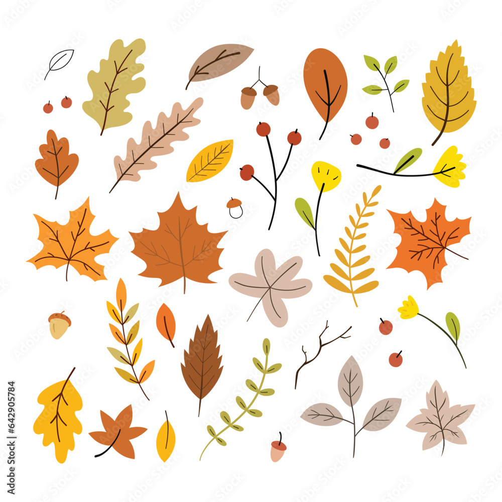 Hand Drawn Autumn Leaves Collection