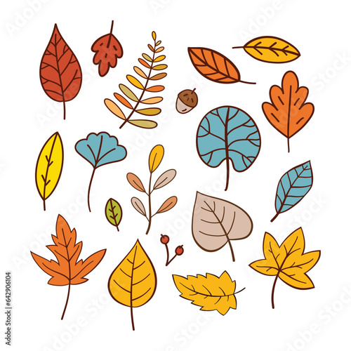 Hand Drawn Autumn Leaves Collection