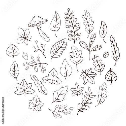Hand Drawn Autumn Leaves Collection