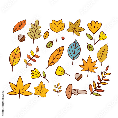 Hand Drawn Autumn Leaves Collection