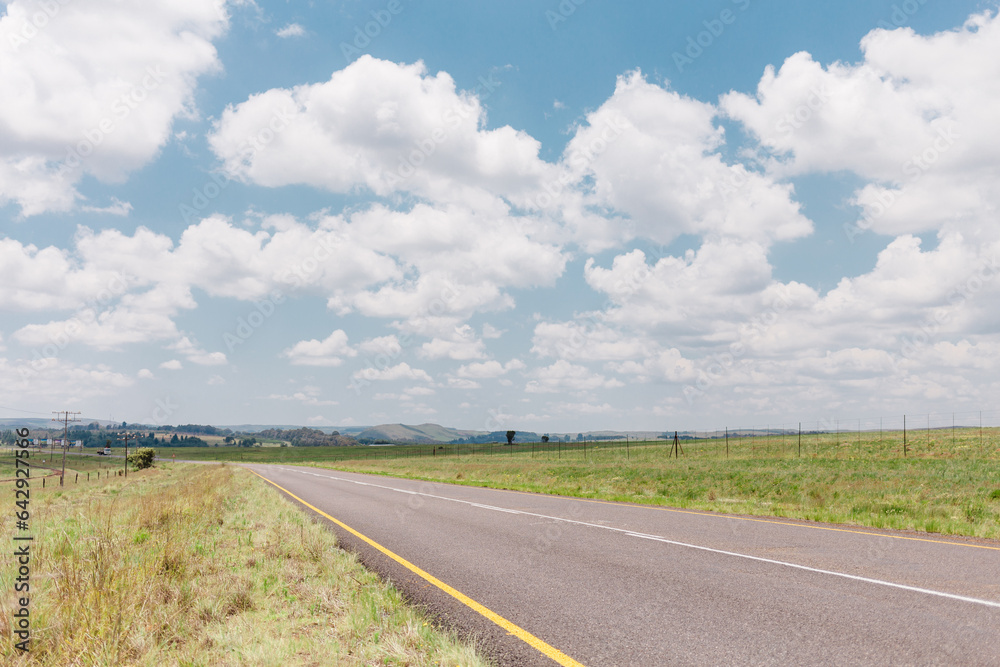 Dullstroom field with Nguni cows Dullstroom field with Nguni cows