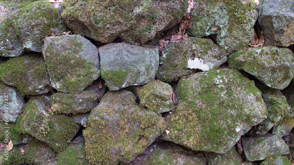 Stone wall with moss on its surface