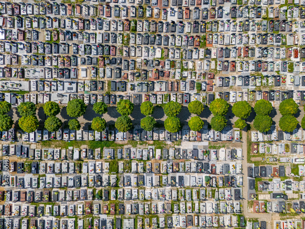 Fototapeta premium Cemetery with green tree alley, view from the air.