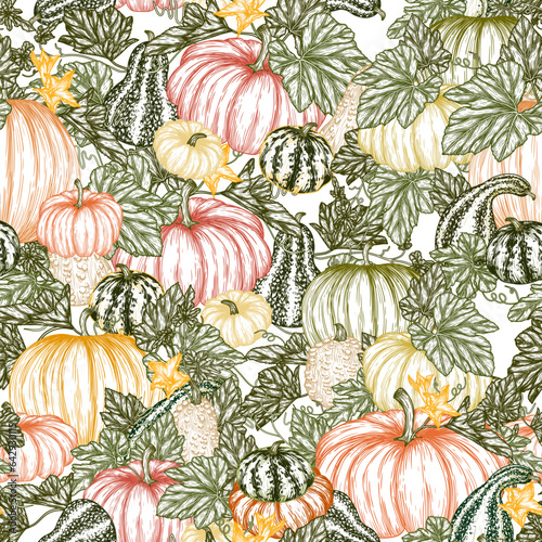 Seamless vector pattern of vegetable garden with pumpkin bushes in engraving style