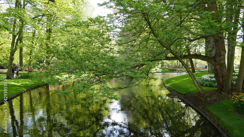 Fluss mit Wald