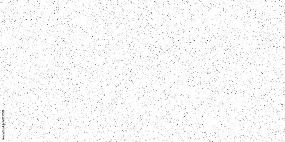 Obraz premium white paper background texture terrazzo flooring texture polished stone pattern old marble. Surface of terrazzo floor texture abstract background.