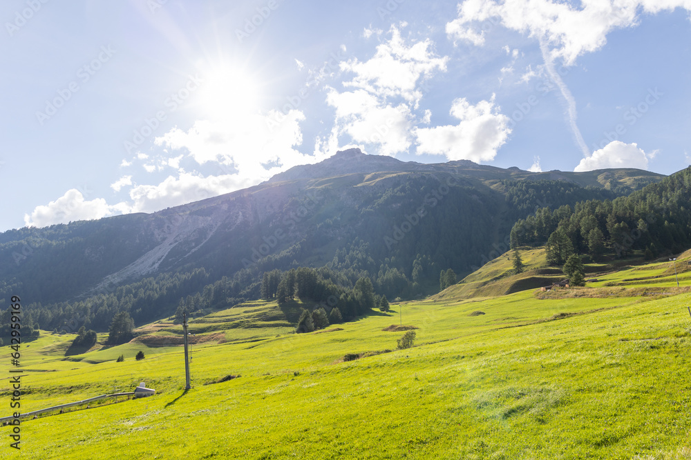 Obraz premium alpine meadow in the mountains