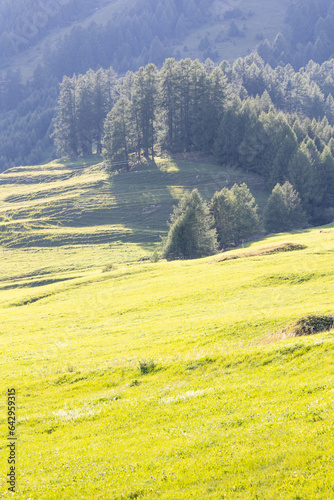 landscape in the mountains