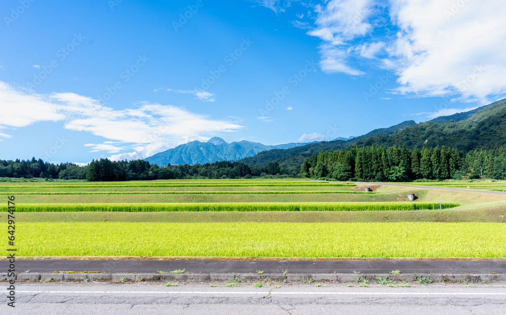 田舎の田園風景 Stock Photo | Adobe Stock