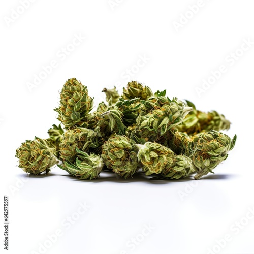 Marijuana plant and Cannabis buds and twigs