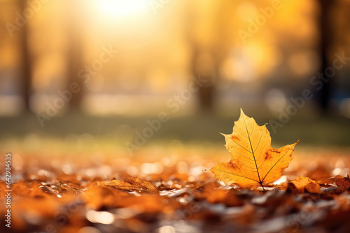 orange leaves in autumn with blurry background of tree in the sun  ai generated