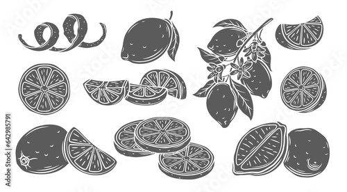 Lemon glyph icons set vector illustration. Stamp of lemon tree branch, whole citrus fruit with peel and cut into half, various slices and pieces for cooking refreshing drink and food with vitamin C