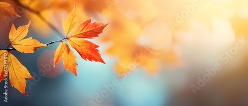 Autumn background with blur and leafs