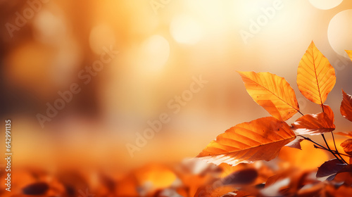 Autumn background with blur and leafs