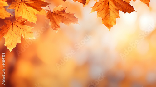 Autumn background with blur and leafs