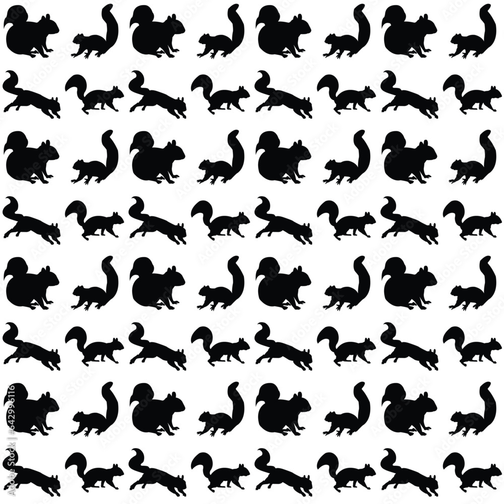 Fototapeta premium set of black and white borders