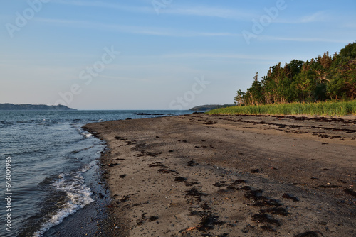 St-Lawrence river shore line at sunrise. Exposed rocks and tree line. Ile aux Lièvres photo