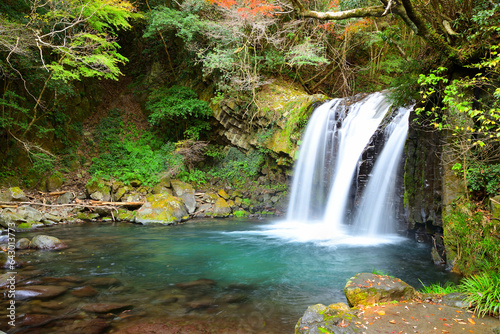 Naklejka 河津七滝 初景滝 静岡県賀茂郡河津町