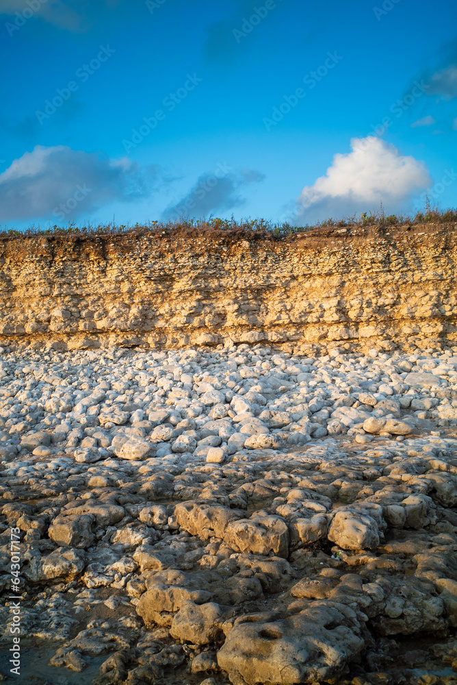 La côte rocheuse à l'ouest de l'île d'Oléron en Charente Maritime en France en Europe occidentale. La côte rocheuse à l'ouest de l'île d'Oléron en Charente Maritime en France en Europe occidentale.