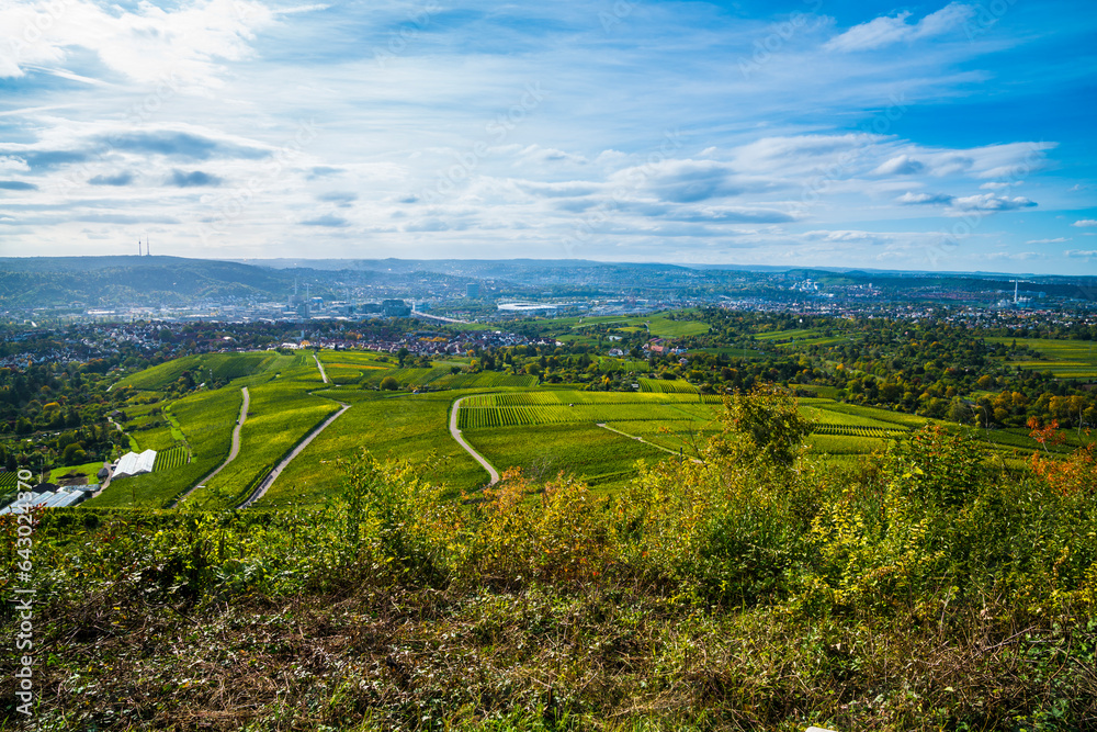 Germany, Stuttgart urban city skyline vineyard panorama view autumn nature landscape above roofs houses stadium industry