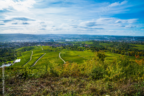 Obraz na płótnie Germany, Stuttgart urban city skyline vineyard panorama view autumn nature landscape above roofs houses stadium industry w salonie