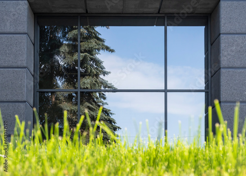 window and grass