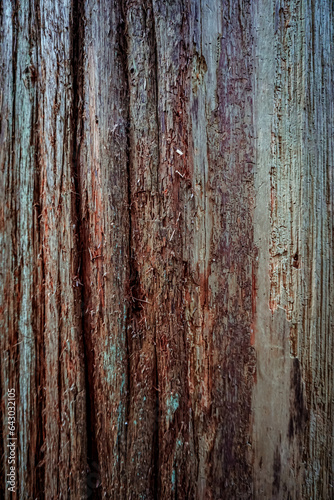 Old wood texture