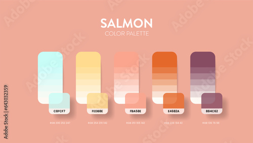 Color palette in Salmon colour theme collections. Color inspiration or colour chart with codes template. Color combination set of RGB. Colors swatch for graphic design, art, fashion, or web design.