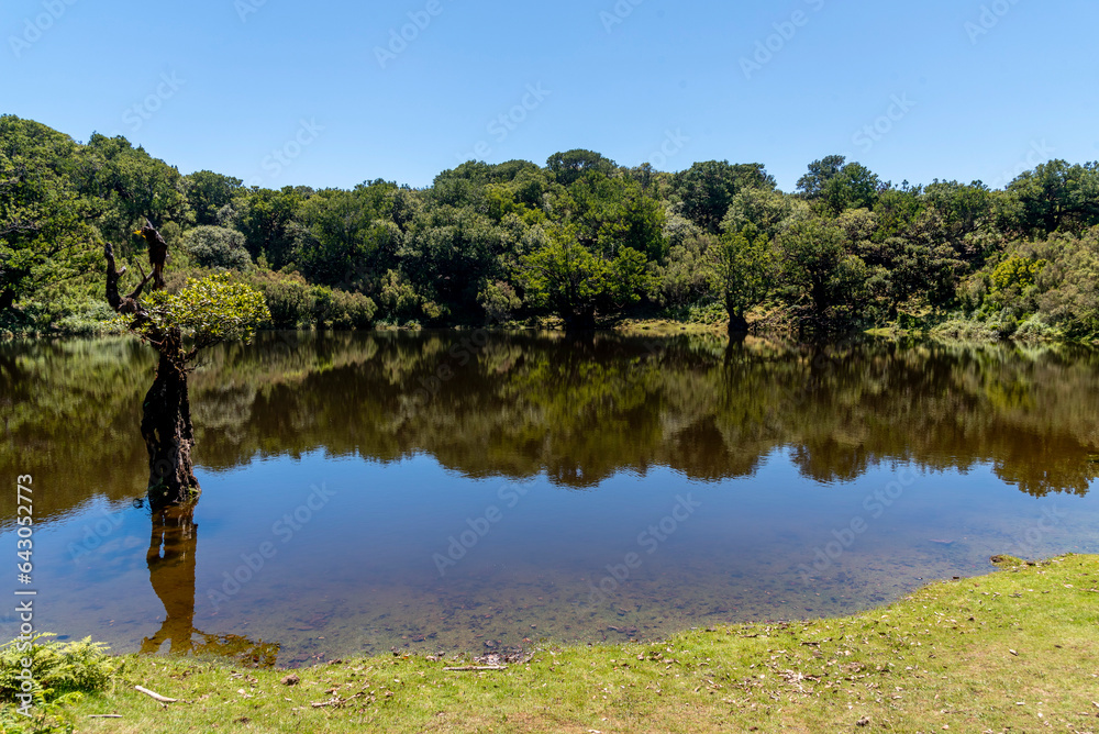 custom made wallpaper toronto digitalmadeira