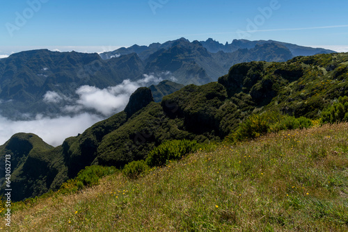 Wallpaper Mural madeira Torontodigital.ca
