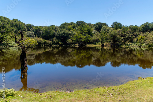 Wallpaper Mural madeira Torontodigital.ca