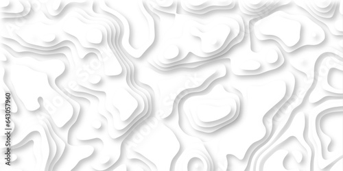 Abstract wavy line 3d paper cut white background. Topographic canyon geometric map relief texture with curved layers and shadow. paper cut 3d render topography abstract  beautiful white color.