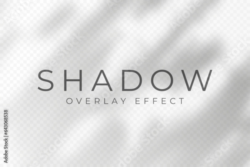 Shadow overlay effect. Transparent soft light and shadows from plant branches, leaves and foliage. Mockup of abstract transparent shadow overlay effect and natural lightning scene. Vector