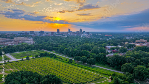 Raleigh Skyline at Sunset with Urban Greenery and Sunflowers photo