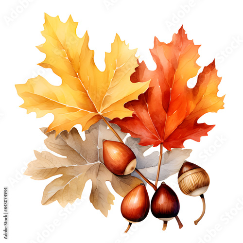 Watercolor painting Realistic Autumn natural leaves set botanical on white background.