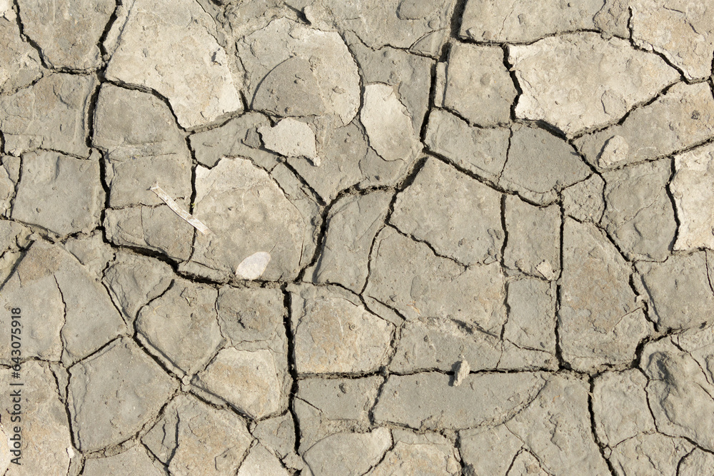 Mud cracks in close view on a shore in Normandy Mud cracks in close view on a shore in Normandy