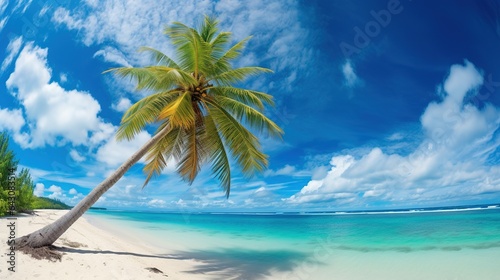 Beautiful palm tree on tropical island beach on background blue sky with white clouds and turquoise ocean on sunny day. Perfect natural landscape for summer vacation