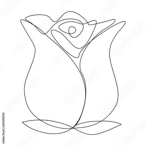 Linear rose drawn. Continuous line drawing flower. Vector illustration isolated on white.