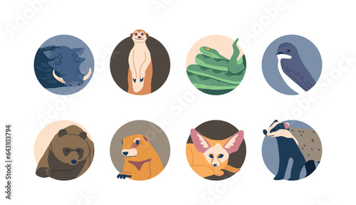 Burrowing Animals Isolated Round Icons or Avatars. Warthog, Meerkat, Badger, And Groundhog, Fennec, Bear, Swallow