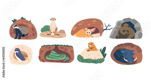 Burrowing Animals Like Warthog, Meerkat, And Groundhog, Fennec, Bear, Swallow and Snake Create Underground Homes