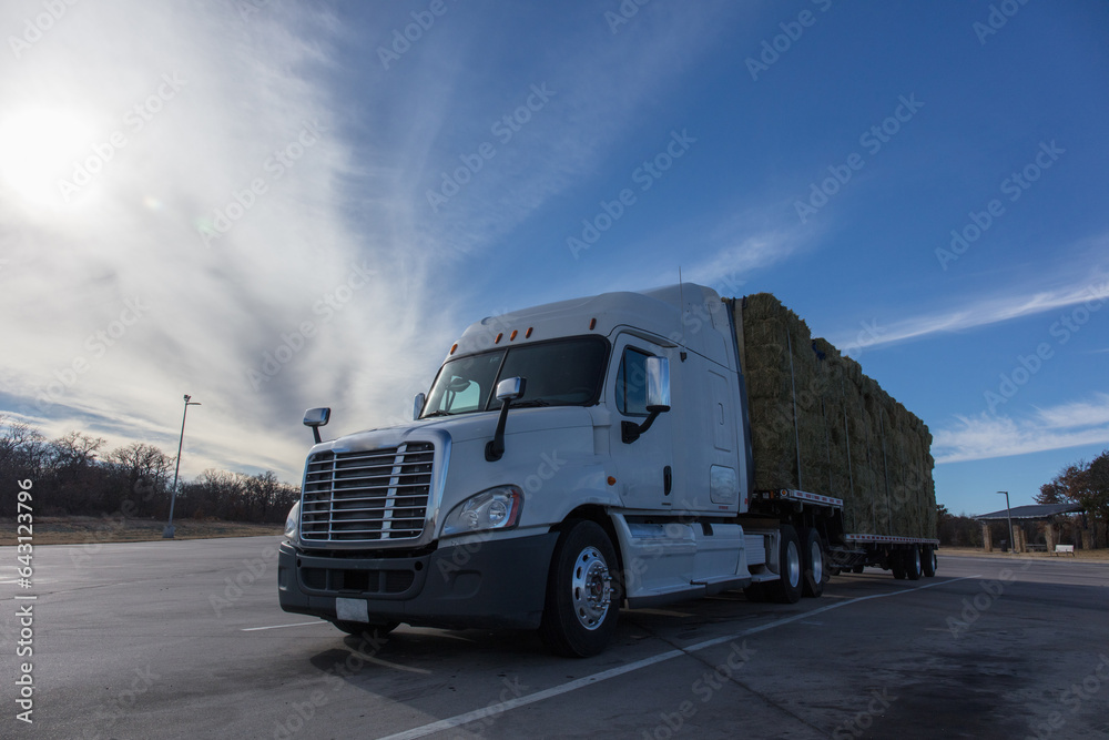 Heavy truck full loaded with hay Heavy truck full loaded with hay