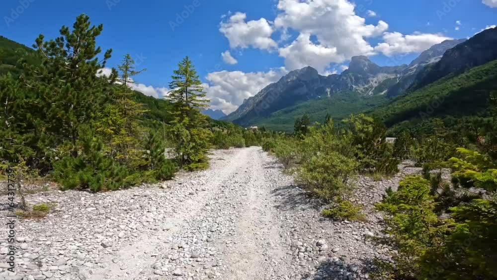 Trail in tree in the Valbona valley trekking to Theth, Theth national park, Albanian Alps, Valbona Albania Trail in tree in the Valbona valley trekking to Theth, Theth national park, Albanian Alps, Valbona Albania