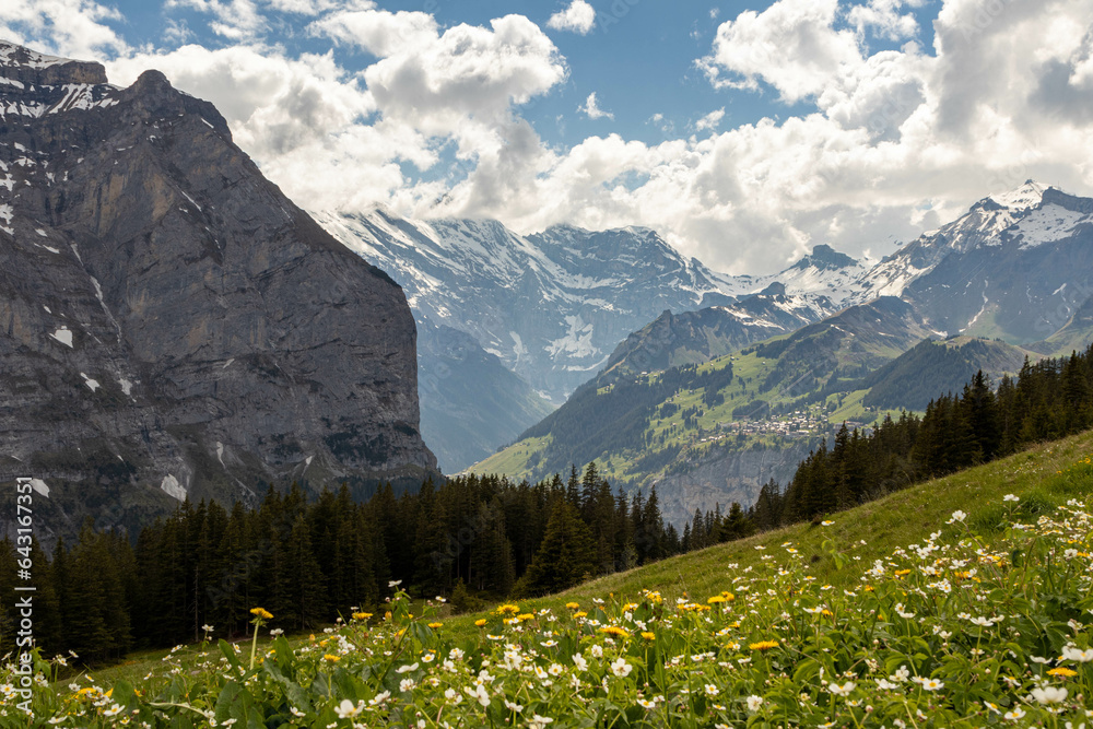 Swiss Alps in Switzerland in the Summer with Mountains Peaking Through Clouds in the Background and Flowers in the Foreground