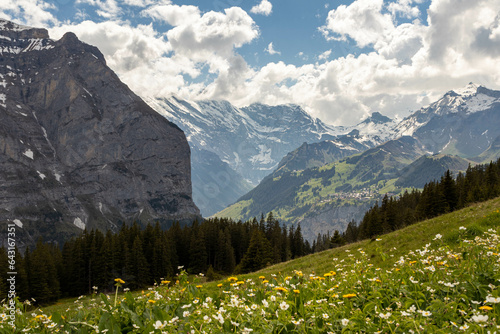 Swiss Alps in Switzerland in the Summer with Mountains Peaking Through Clouds in the Background and Flowers in the Foreground
