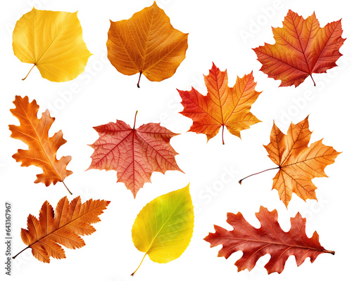 Red Orange And Yellow Autumn Leaves Isolated On White Background. No Shadows. Ai Generated 